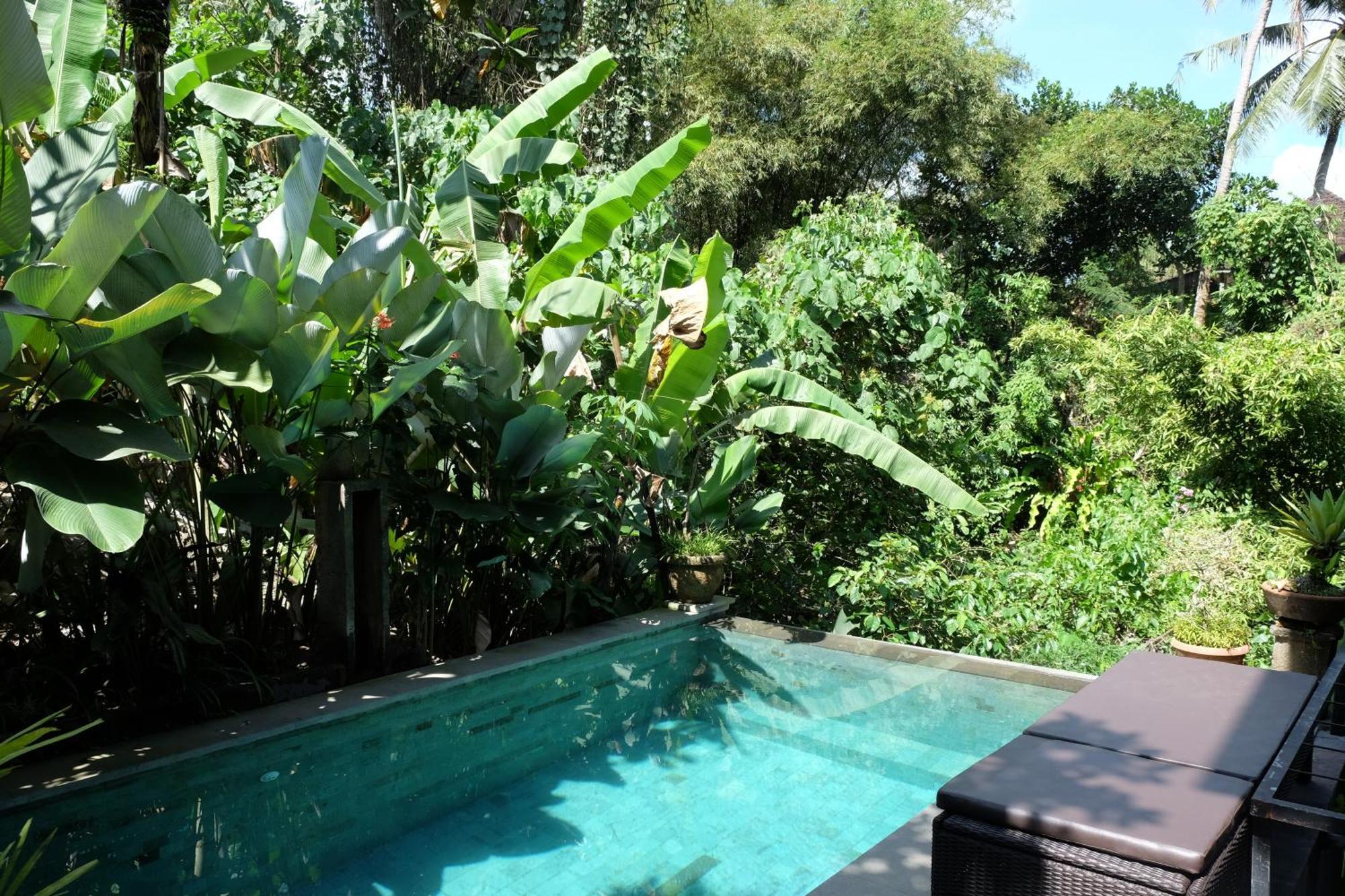 Suastika Guest House Ubud 外观 照片
