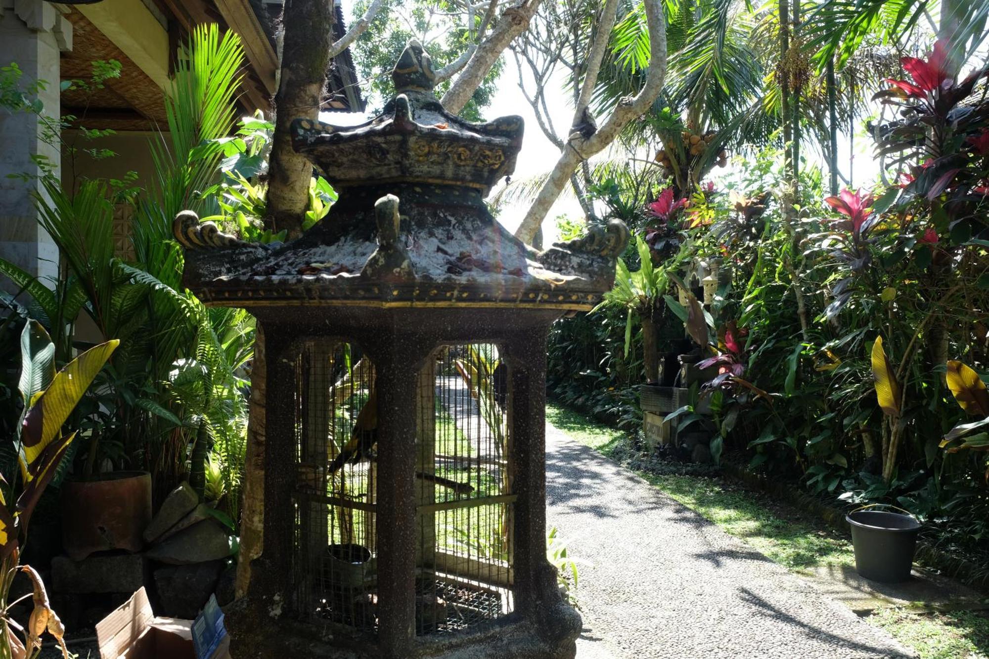Suastika Guest House Ubud 外观 照片